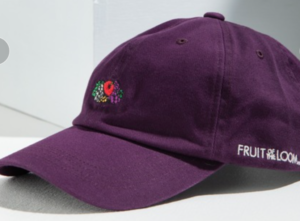 紫　帽子